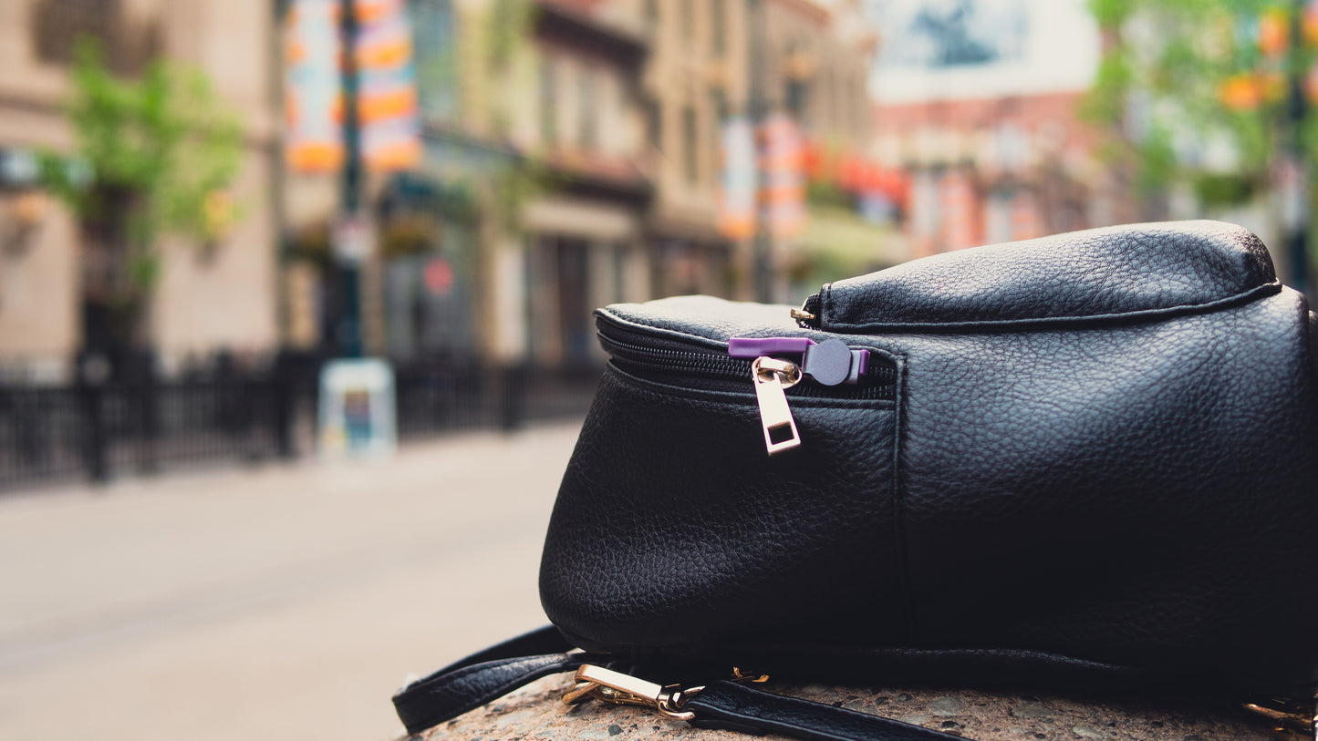 ZippGuard Safety Lock